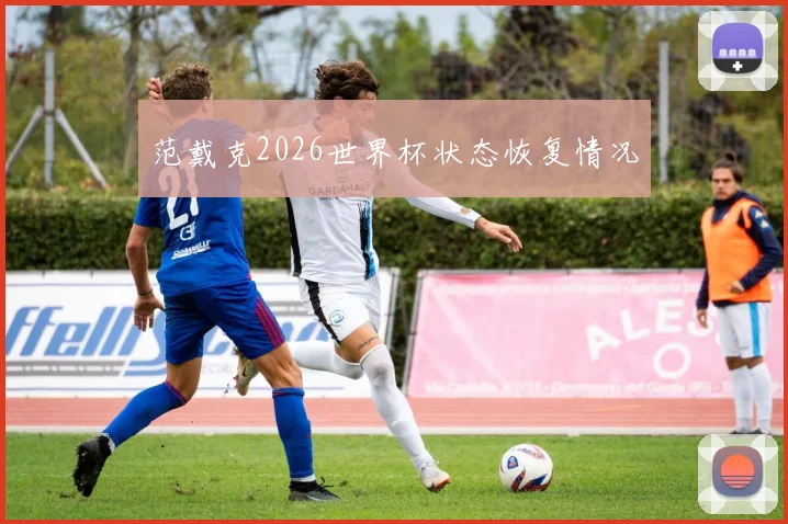 范戴克2026世界杯状态恢复情况