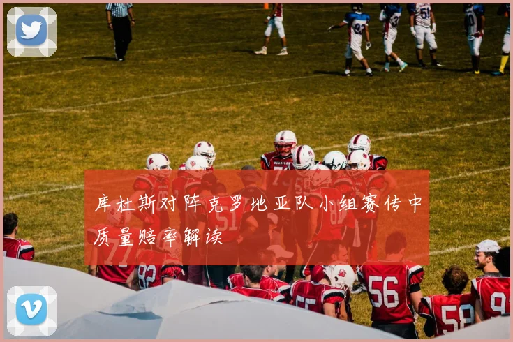 库杜斯对阵克罗地亚队小组赛传中质量赔率解读