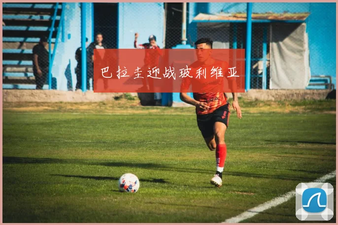 巴拉圭迎战玻利维亚 - Anbo体育官方平台