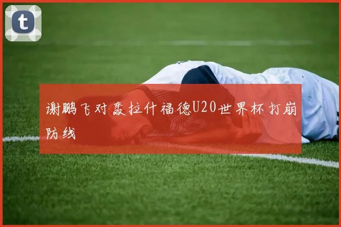 谢鹏飞对轰拉什福德U20世界杯打崩防线 — 详细说明