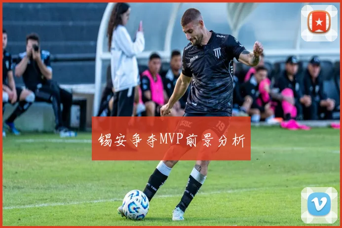 锡安争夺MVP前景分析 - Anbo体育官方平台