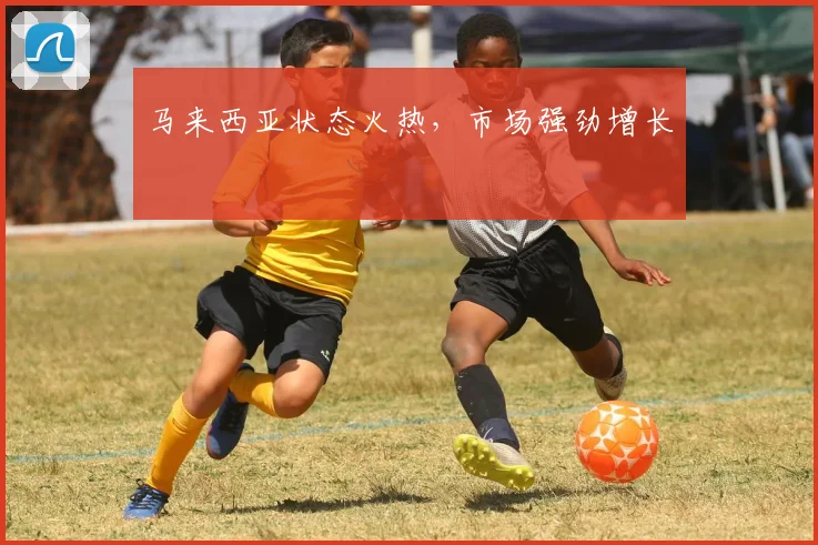 马来西亚状态火热，市场强劲增长 - Anbo体育官方平台