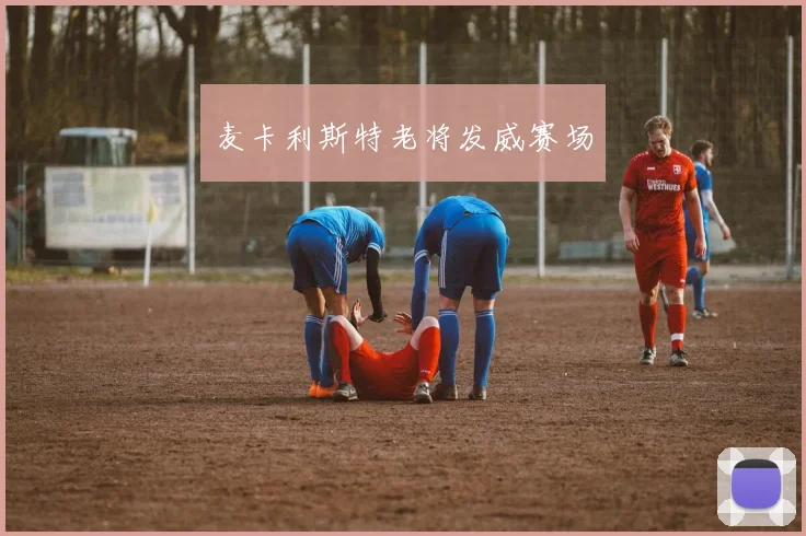 麦卡利斯特老将发威赛场 - Anbo体育官方平台
