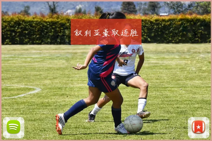 叙利亚豪取连胜 - Anbo体育官方平台
