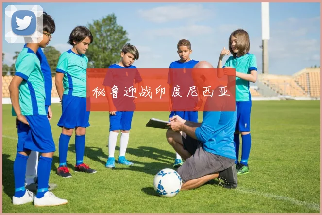 秘鲁迎战印度尼西亚 - Anbo体育官方平台