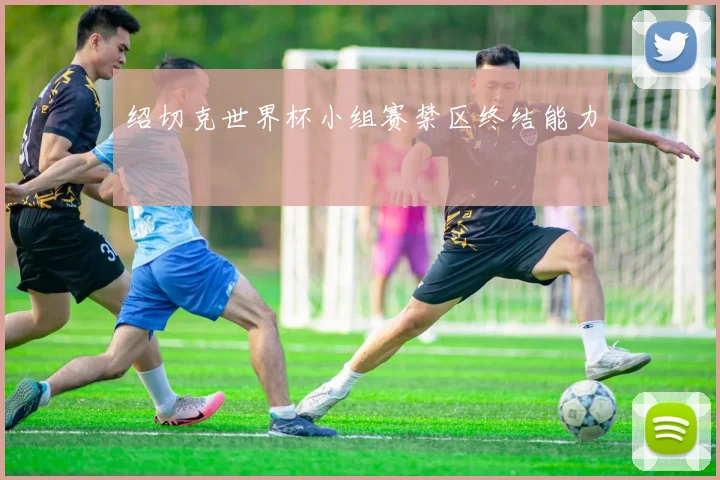 绍切克世界杯小组赛禁区终结能力