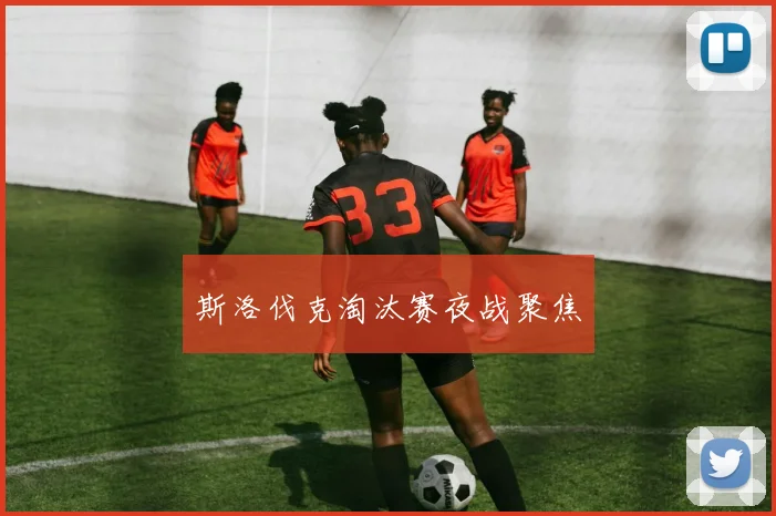 斯洛伐克淘汰赛夜战聚焦 - Anbo体育官方平台