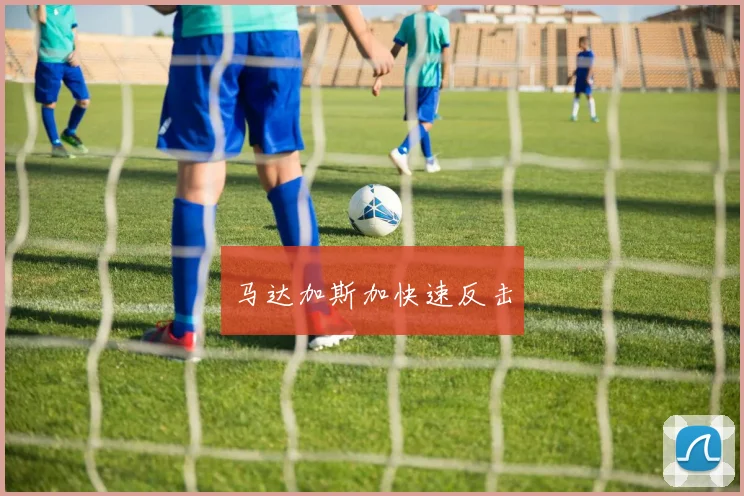 马达加斯加快速反击 - Anbo体育官方平台
