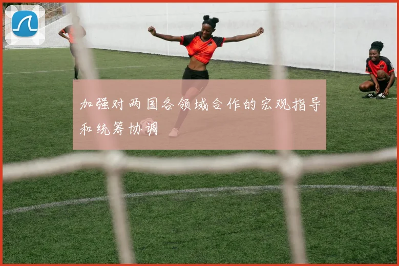 加强对两国各领域合作的宏观指导和统筹协调 - Anbo体育官方平台