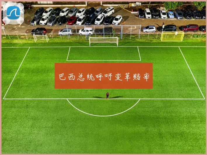 巴西总统呼吁变革赔率 - Anbo体育官方平台