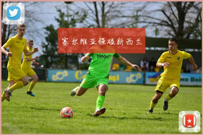 塞尔维亚强碰新西兰 - Anbo体育官方平台