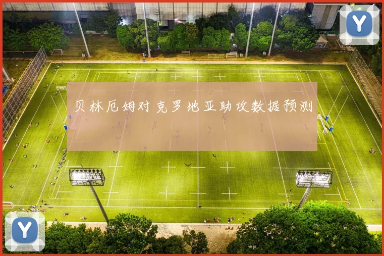 贝林厄姆对克罗地亚助攻数据预测