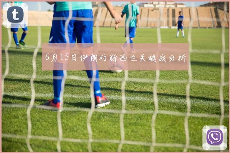 6月15日伊朗对新西兰关键战分析